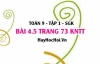 Bài 4.5 trang 73 Toán 9 tập 1 Kết nối tri thức